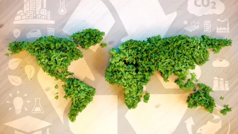 Green Government