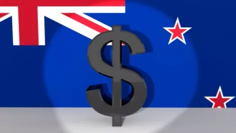 Nz contribution