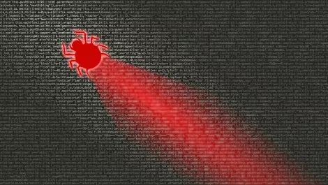 Bug code