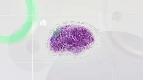 A second brain to maximise your digital life